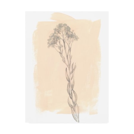 Jennifer Goldberger 'Branch On Blush I' Canvas Art,14x19
